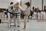 Taekwondomeisterschaft_Lauingen_11_2015_062.jpg