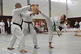 Taekwondomeisterschaft_Lauingen_11_2015_064.jpg