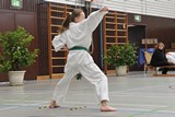 Taekwondomeisterschaft_Lauingen_11_2015_067.jpg