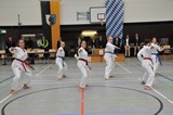 Taekwondomeisterschaft_Lauingen_11_2015_079.jpg