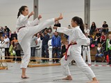 Taekwondomeisterschaft_Lauingen_11_2015_083.jpg