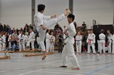 Taekwondomeisterschaft_Lauingen_11_2015_087.jpg