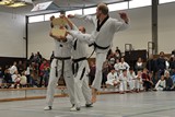 Taekwondomeisterschaft_Lauingen_11_2015_096.jpg