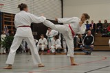 Taekwondomeisterschaft_Lauingen_11_2015_106.jpg