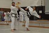 Taekwondomeisterschaft_Lauingen_11_2015_108.jpg