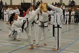 Taekwondomeisterschaft_Lauingen_11_2015_113.jpg