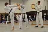 Taekwondomeisterschaft_Lauingen_11_2015_115.jpg
