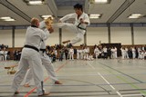 Taekwondomeisterschaft_Lauingen_11_2015_120.jpg
