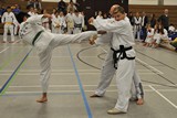 Taekwondomeisterschaft_Lauingen_11_2015_121.jpg