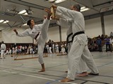 Taekwondomeisterschaft_Lauingen_11_2015_127.jpg