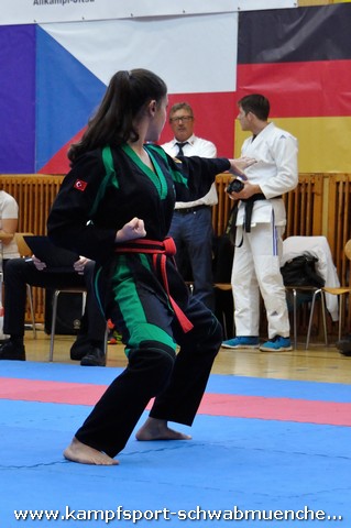 2016_10_15_Europameister_Allkampf_Jitsu_Tschechien_040.jpg