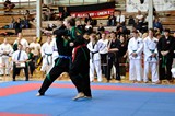 2016_10_15_Europameister_Allkampf_Jitsu_Tschechien_046.jpg