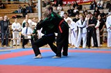 2016_10_15_Europameister_Allkampf_Jitsu_Tschechien_050.jpg