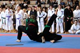 2016_10_15_Europameister_Allkampf_Jitsu_Tschechien_056.jpg
