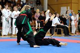 2016_10_15_Europameister_Allkampf_Jitsu_Tschechien_079.jpg