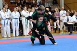 2016_10_15_Europameister_Allkampf_Jitsu_Tschechien_088.jpg