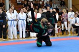 2016_10_15_Europameister_Allkampf_Jitsu_Tschechien_089.jpg