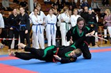 2016_10_15_Europameister_Allkampf_Jitsu_Tschechien_091.jpg