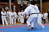 2016_10_15_Europameister_Allkampf_Jitsu_Tschechien_096.jpg