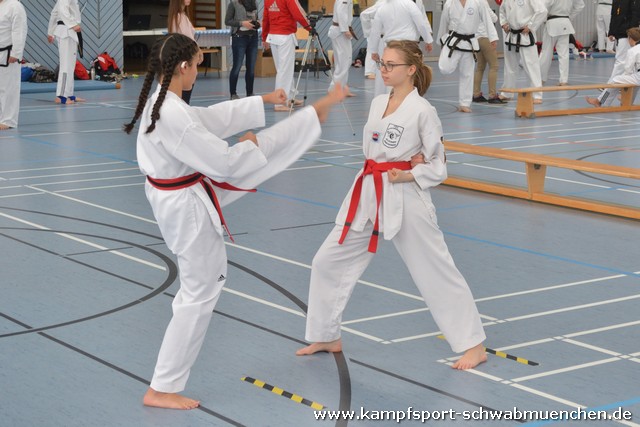 bayerische_TKD_Meisterschaft_2017_029.jpg