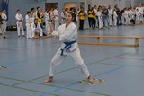 bayerische_TKD_Meisterschaft_2017_004.jpg