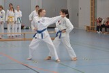 bayerische_TKD_Meisterschaft_2017_018.jpg