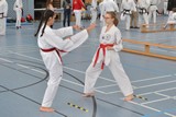 bayerische_TKD_Meisterschaft_2017_029.jpg