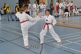 bayerische_TKD_Meisterschaft_2017_036.jpg