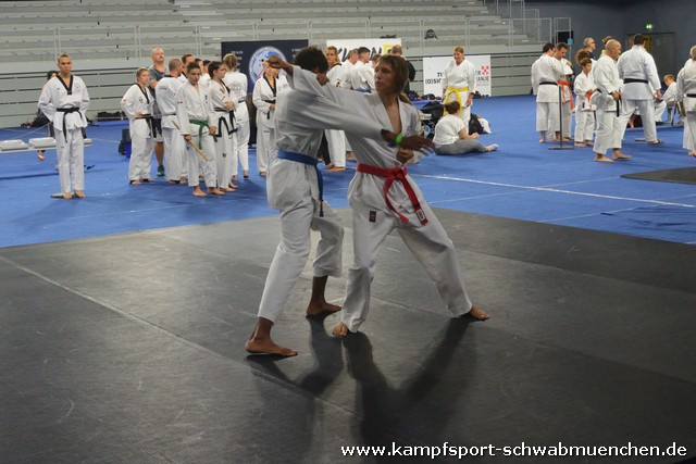 World_Games_Varazdin_Kroatien_WMAC_2019_041.jpg