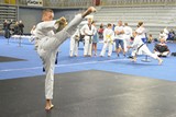 World_Games_Varazdin_Kroatien_WMAC_2019_090.jpg