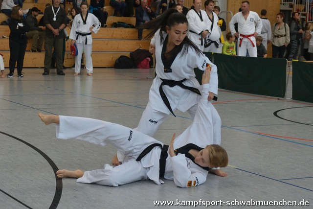2019_25_BM_TKD_BCE_Stegaurach_053.jpg