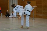 2019_25_BM_TKD_BCE_Stegaurach_101.jpg