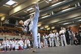 WMAC_Bregenz_2019_032.jpg