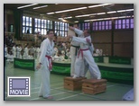 12_bayerische_tkd_meiststerschaft_18_11_06_schrobenhausen__13_.jpg