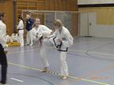 14_bayrische_Taekwondo_21.jpg