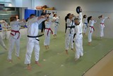 guertelpruefung_schwabmuenchen_12_2016_009.jpg