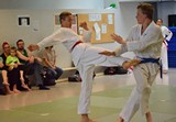 Guertelpruefung_Schwabmuenchen_Sommer_2016_63.jpg