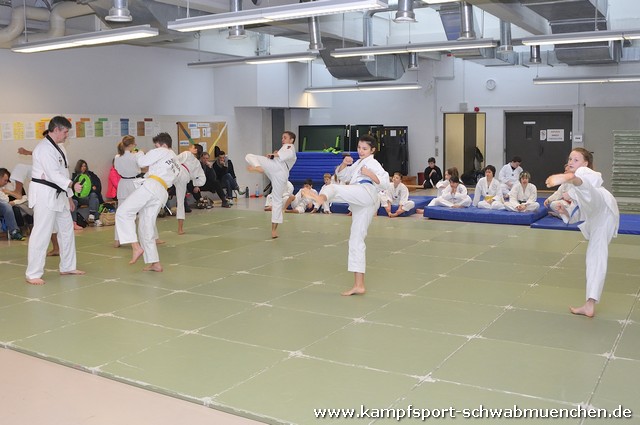 Farbgurtpruefung_2017_023.jpg