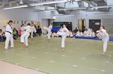 Farbgurtpruefung_2017_023.jpg