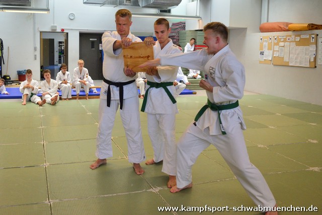 Farbgurtpruefung_SMUE_2018_083.jpg