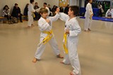 Guertelpruef_SMUE_12_2018_013.jpg