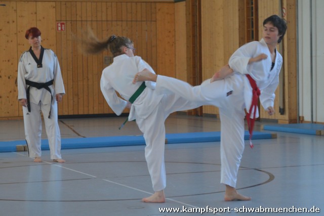 DAN_Taekwondo_Corinna_2019_009.jpg