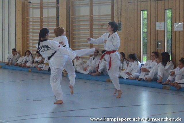 DAN_Taekwondo_Corinna_2019_011.jpg