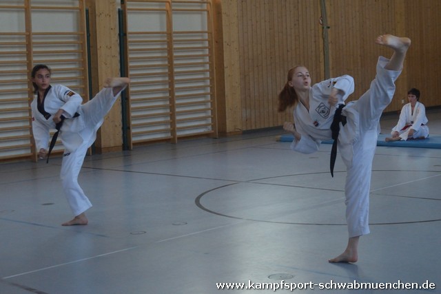DAN_Taekwondo_Corinna_2019_023.jpg