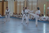 DAN_Taekwondo_Corinna_2019_012.jpg