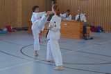 DAN_Taekwondo_Corinna_2019_016.jpg