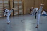 DAN_Taekwondo_Corinna_2019_023.jpg