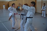 DAN_Taekwondo_Corinna_2019_029.jpg