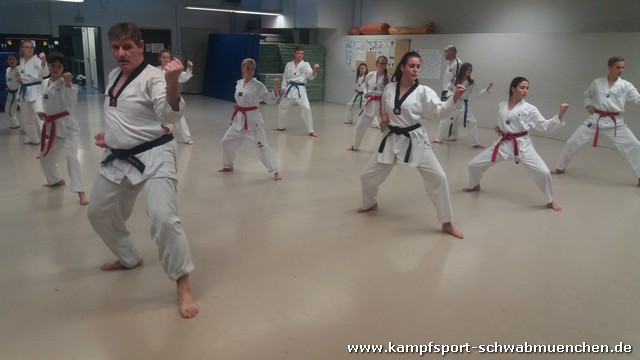 Taekwondo_Training_2016_03.jpg