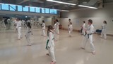 Taekwondo_Training_2016_01.jpg